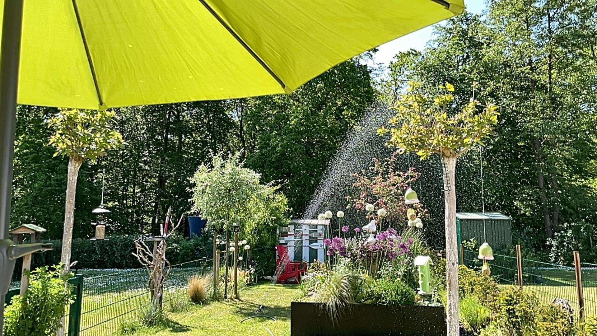 Ferienwohnung Kwi 36 Eg "Rauchschwalbe" Graal-Muritz Bagian luar foto